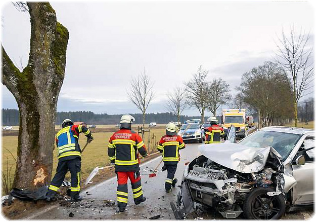 Pkw gegen Baum auf Ahornallee