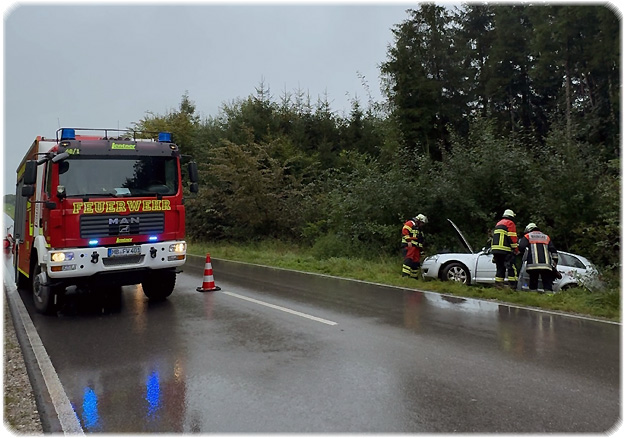 Pkw im Straßengraben der B 318